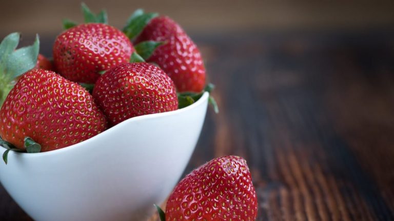 Izpatikt Dievam un pienest Viņam cienīgus augļus var tikai tad, kad mēs sekojam Viņa gribai mūsu dzīvei II