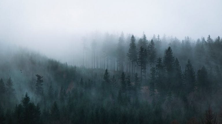 Nepareiza motivācija III