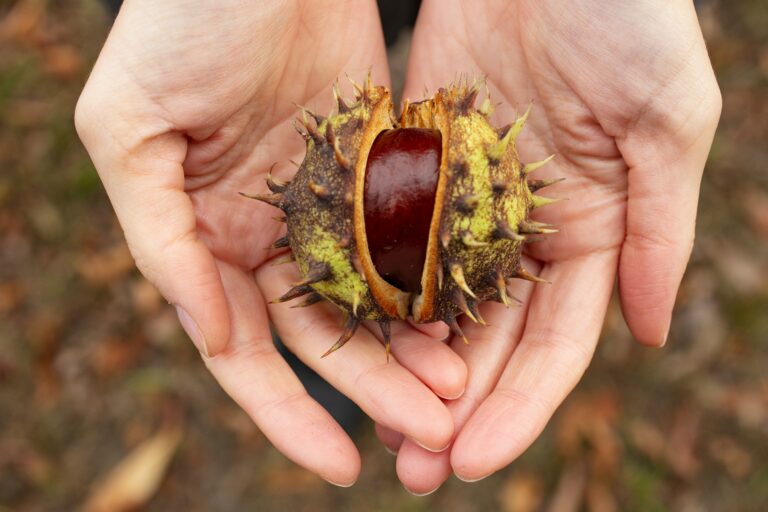 The seed contains tremendous potential