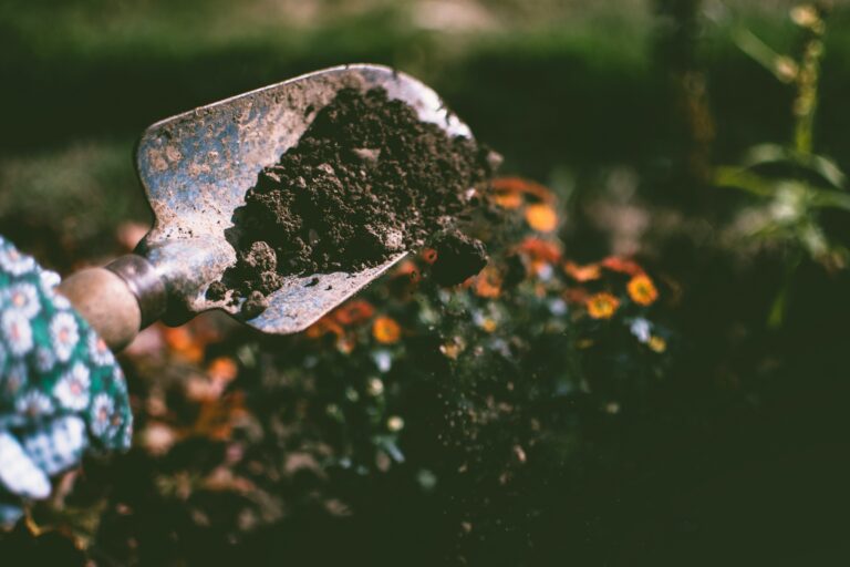 The seed contains tremendous potential III