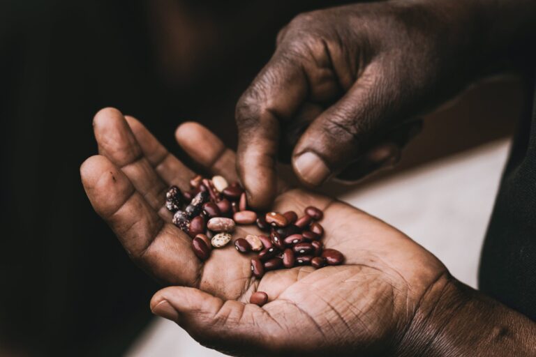 The seed contains tremendous potential II