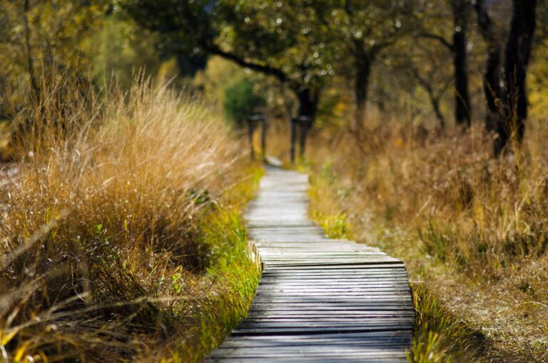 If you want to walk in the favour of God – be a grateful person!